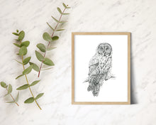 Load image into Gallery viewer, "Great Grey" a veritcal Owl Giclee Print