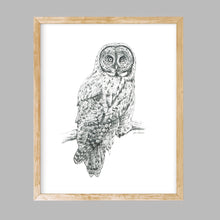 Load image into Gallery viewer, "Great Grey" a veritcal Owl Giclee Print