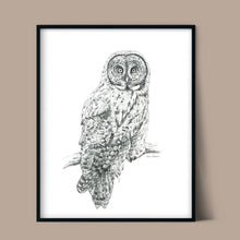 Load image into Gallery viewer, "Great Grey" a veritcal Owl Giclee Print