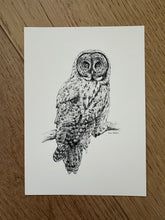 Load image into Gallery viewer, "Great Grey" a veritcal Owl Giclee Print