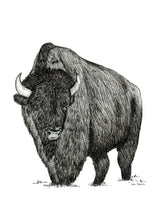 Load image into Gallery viewer, "Bison no. 4" a Pen Drawing Giclee Print