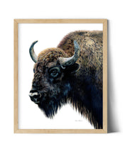 Load image into Gallery viewer, "Yellowstone" A Bison Colored Pencil Vertical Print
