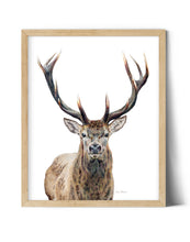 Load image into Gallery viewer, "Majestic" An Elk Colored Pencil Vertical Print