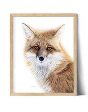 Load image into Gallery viewer, "Bright-Eyed" A Red Fox Colored Pencil Vertical Print