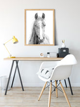 Load image into Gallery viewer, "Vasco" a Horizontal Horse Pencil Drawing Print