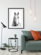 Load image into Gallery viewer, "Vasco" a Horizontal Horse Pencil Drawing Print