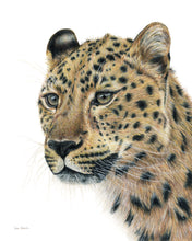 Load image into Gallery viewer, &quot;Kruger&quot; a Vertical Leopard Giclee Print
