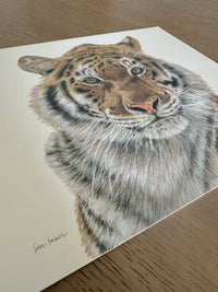 "Strength" a Horizontal Tiger Giclee Print