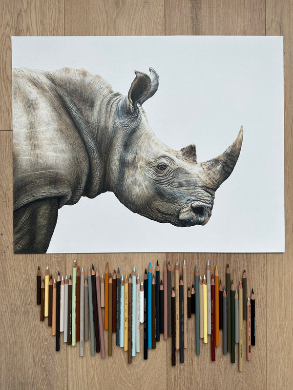 "Rugged" a 16X20" ORIGINAL colored pencil drawing, framed