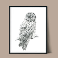 "Great Grey" a veritcal Owl Giclee Print