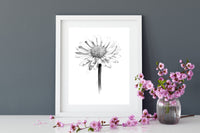 "Daisy" a Vertical Giclee Print