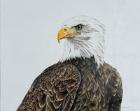 "Freedom" an Original Colored Pencil Drawing