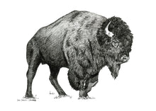 Load image into Gallery viewer, &quot;Bison no. 1&quot; a Pen Drawing Giclee Print
