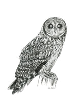 Load image into Gallery viewer, &quot;Owl no. 2&quot; a Pen Drawing Giclee Print

