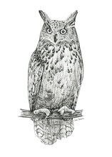 Load image into Gallery viewer, &quot;Owl no. 1&quot; a Pen Drawing Giclee Print
