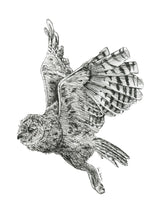 Load image into Gallery viewer, &quot;Owl no. 3&quot; a Pen Drawing Giclee Print
