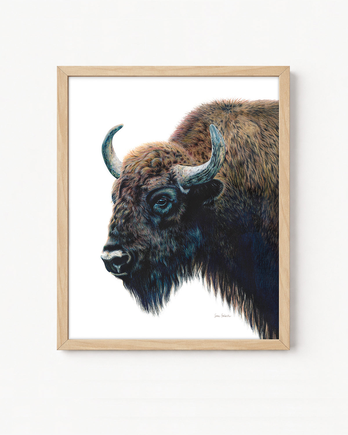 "Yellowstone" A Bison Colored Pencil Vertical Print