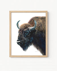 "Yellowstone" A Bison Colored Pencil Vertical Print