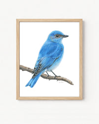 "Mountain Blue" a Vertical Giclee Print