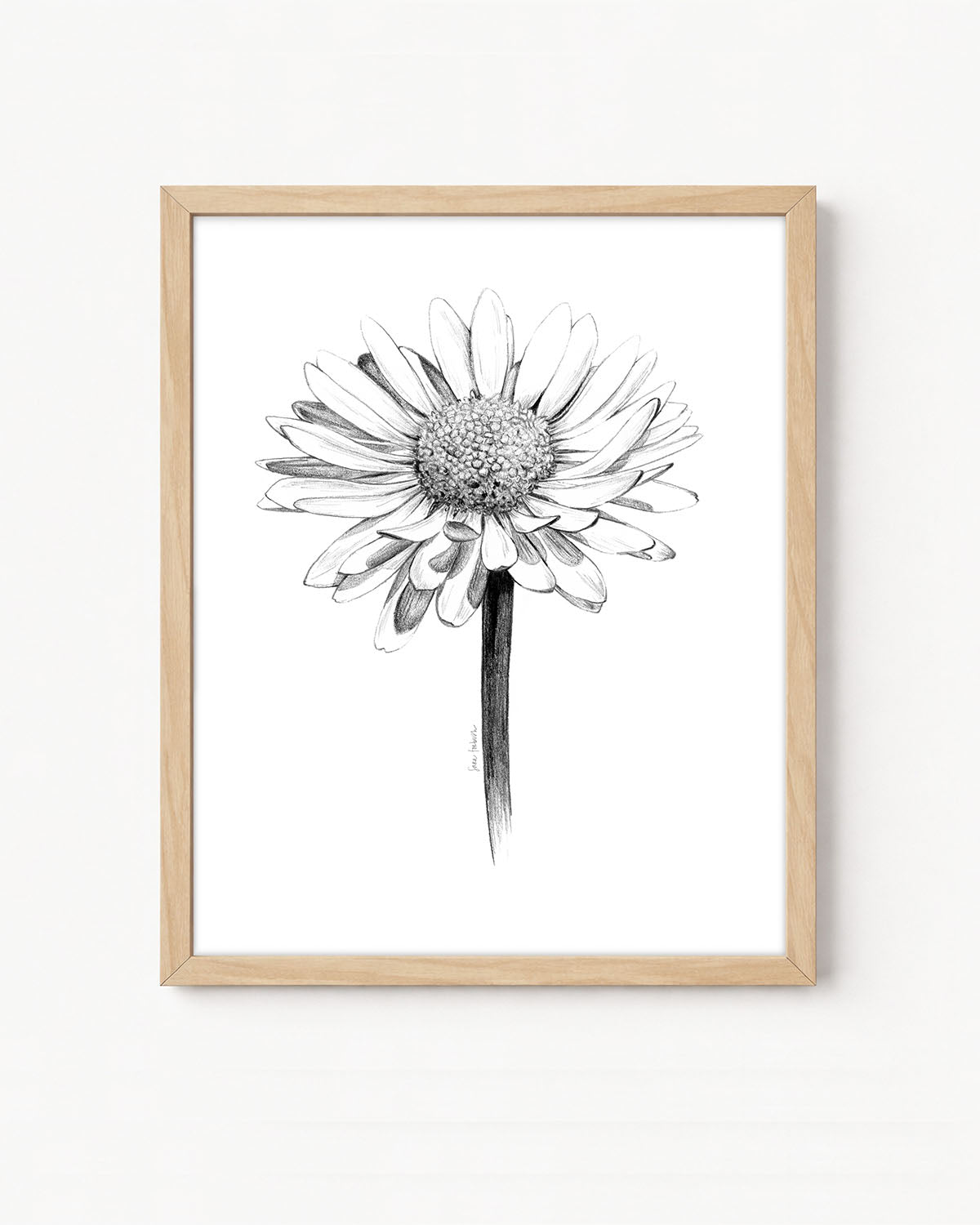 "Daisy" a Vertical Giclee Print