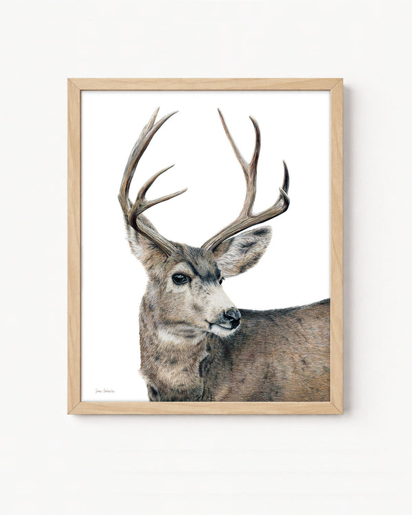 "Kilgore" A Vertical Colored Pencil Print