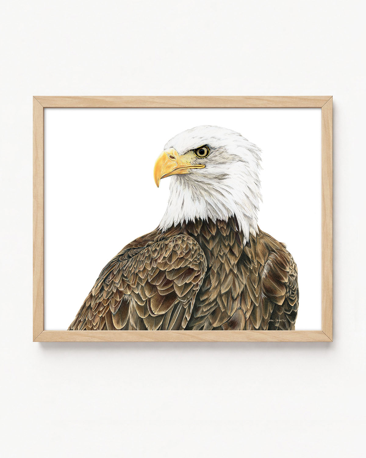 "Freedom" an Eagle Horizontal Colored Pencil Print