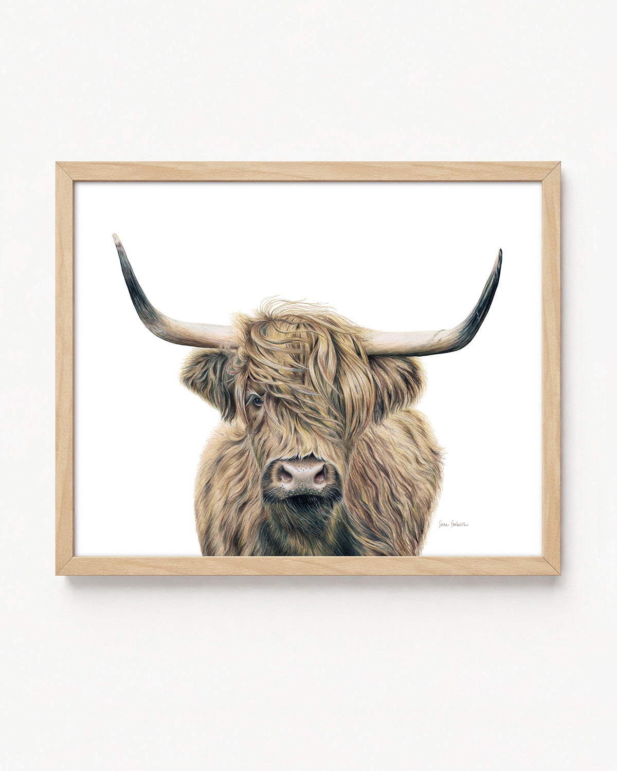 "Highland Fields" A Highland Cow Colored Pencil Horizontal Print
