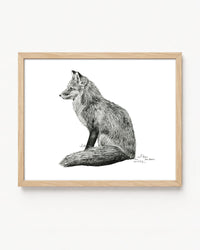 "Fox no. 3" a Pen Drawing Giclee Print