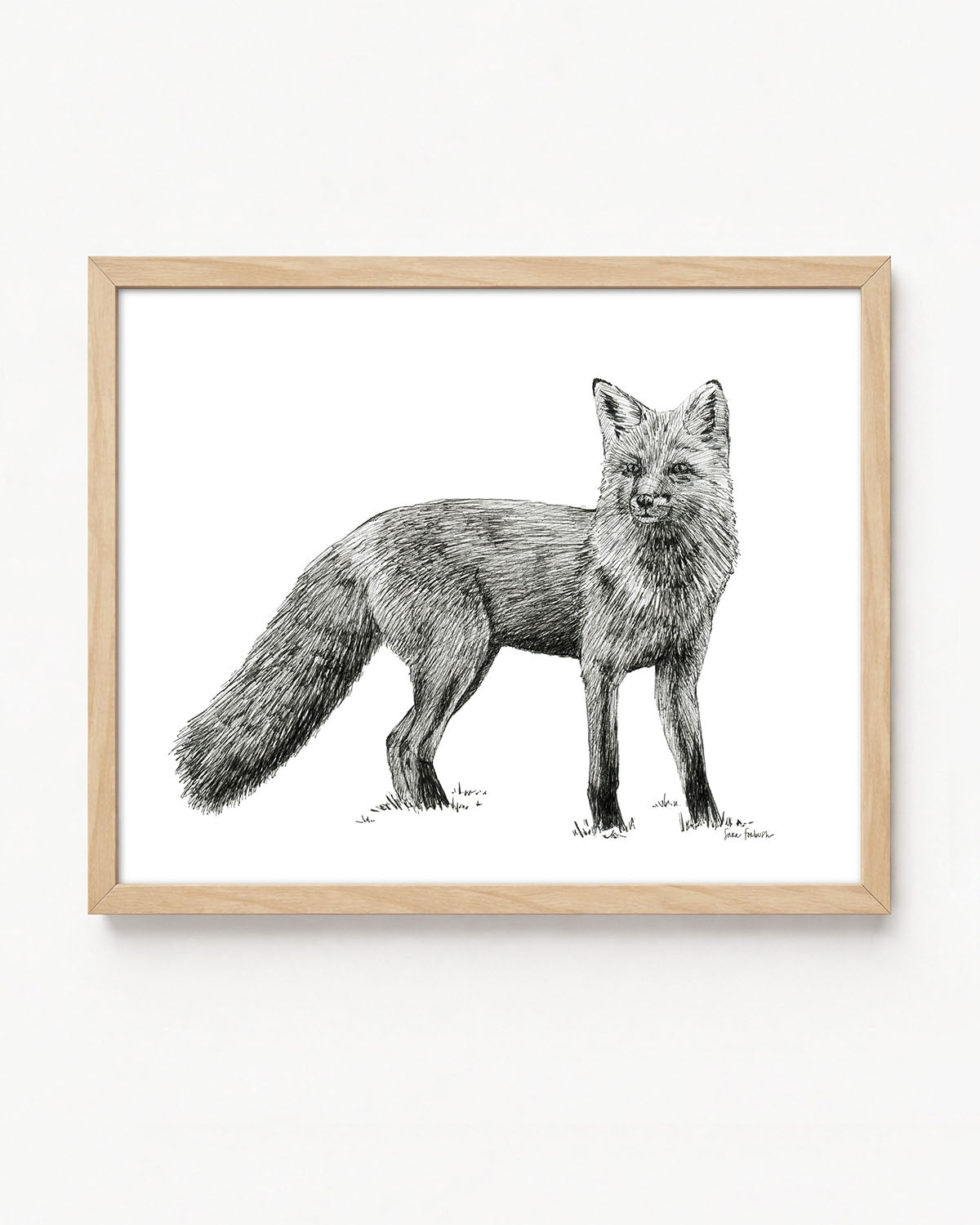 "Fox no. 4" a Pen Drawing Giclee Print