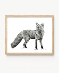 "Fox no. 4" a Pen Drawing Giclee Print