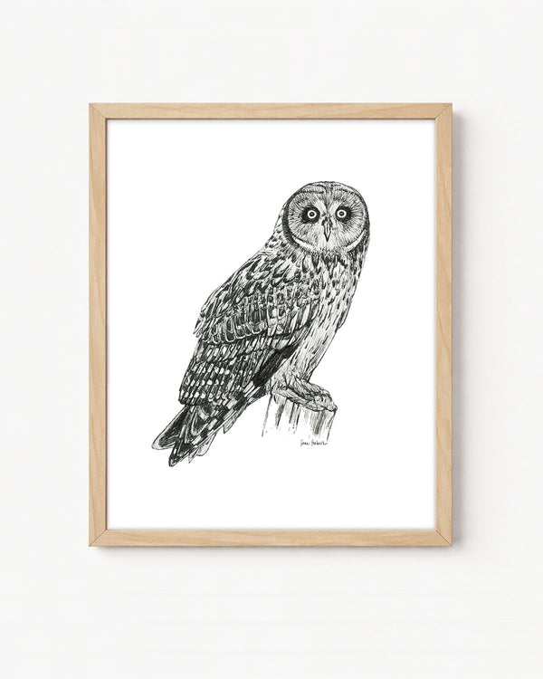 "Owl no. 2" a Pen Drawing Giclee Print