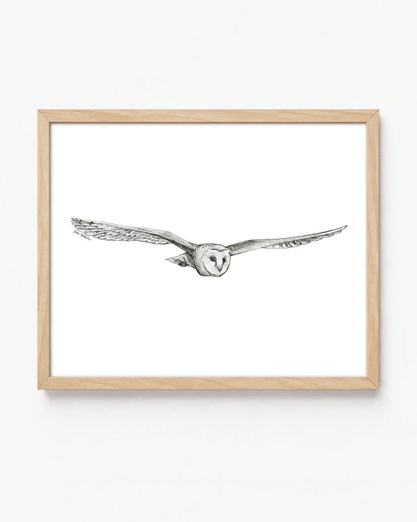 "Owl no. 4" a Pen Drawing Giclee Print