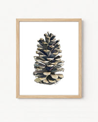 Pinecone Vertical Giclee Print with Watercolor