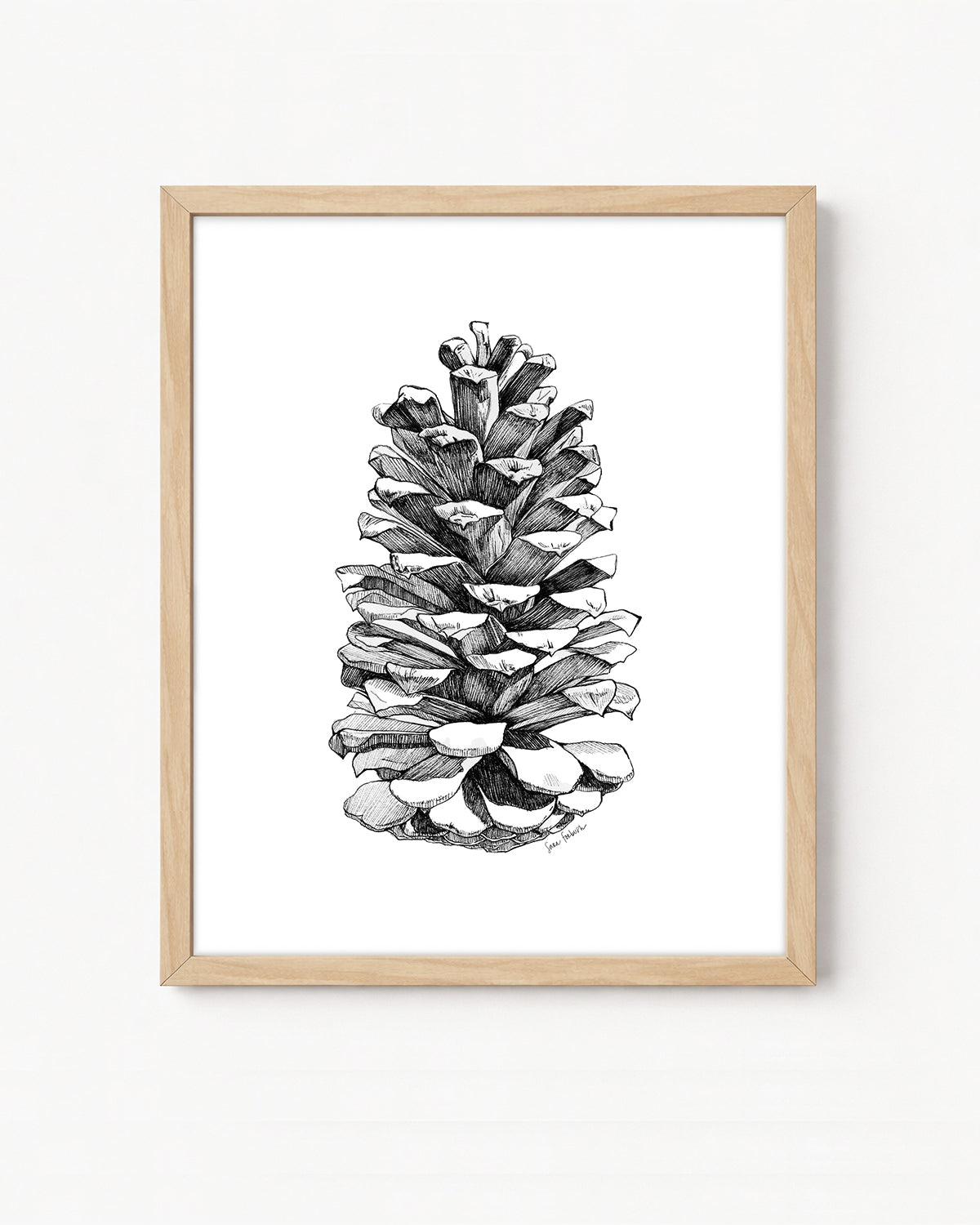 Pinecone Vertical Giclee Print Black and White