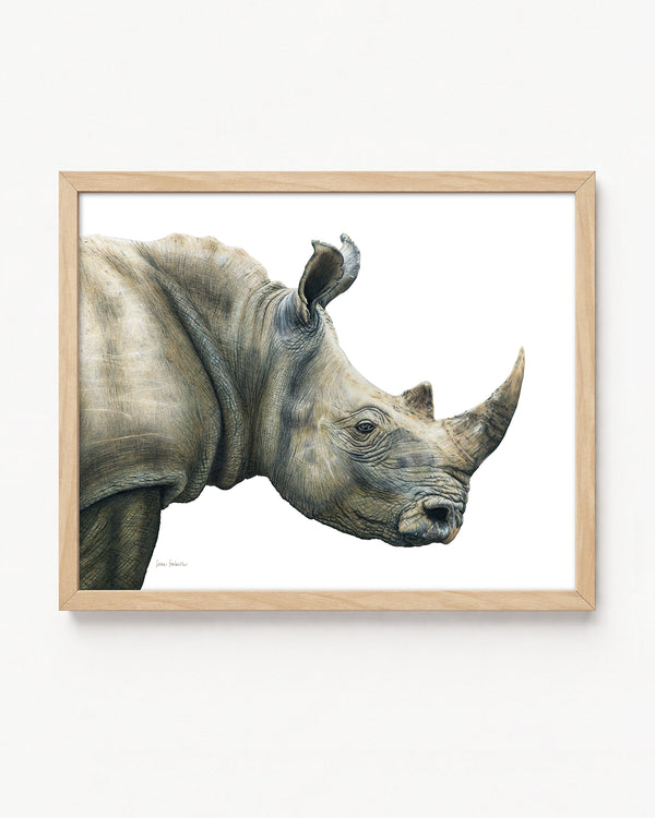 "Rugged" a Rhinoceros Colored Pencil Horizontal Gilcee Print