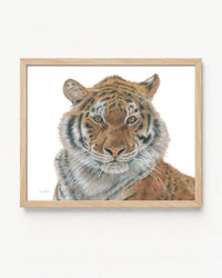 "Strength" a Horizontal Tiger Giclee Print