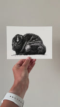 Load and play video in Gallery viewer, &quot;Bison no. 3&quot; a Pen Drawing Giclee Print
