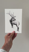 Load and play video in Gallery viewer, &quot;Elk no. 3&quot; a Pen Drawing Giclee Print
