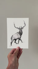 Load and play video in Gallery viewer, &quot;Elk no. 1&quot; a Pen Drawing Giclee Print
