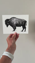 Load and play video in Gallery viewer, &quot;Bison no. 2&quot; a Pen Drawing Giclee Print

