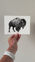 Load and play video in Gallery viewer, &quot;Bison no. 1&quot; a Pen Drawing Giclee Print
