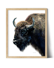 Load image into Gallery viewer, &quot;Yellowstone&quot; A Bison Colored Pencil Vertical Print
