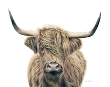 Load image into Gallery viewer, &quot;Highland Fields&quot; A Highland Cow Colored Pencil Horizontal Print
