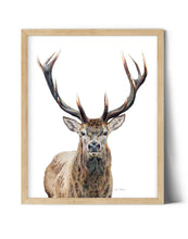 Load image into Gallery viewer, &quot;Majestic&quot; An Elk Colored Pencil Vertical Print
