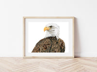 "Freedom" an Eagle Horizontal Colored Pencil Print
