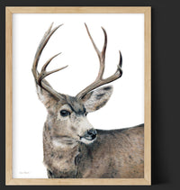 "Kilgore" A Vertical Colored Pencil Print