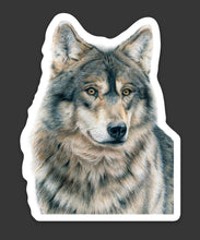 Load image into Gallery viewer, Wolf Colored Pencil Drawing STICKER
