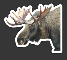 Load image into Gallery viewer, Moose Colored Pencil STICKER
