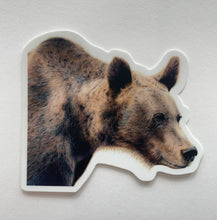 Load image into Gallery viewer, Grizzly Bear Colored Pencil Drawing STICKER
