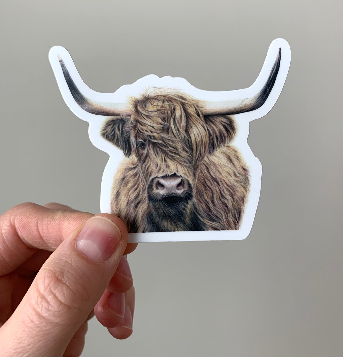 Highland Cow Colored Pencil Drawing STICKER